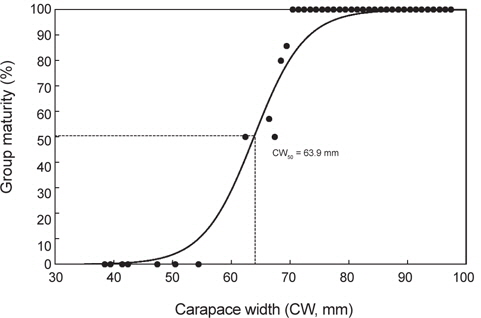 Relationship between carapace width (CW) and group maturity of female Chionoecetes opilio in the East Sea.
