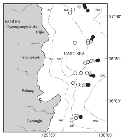 Distribution of Chionoecetes opilio and Chionoecetes japonicus in the East Sea. White circle, Chionoecetes opilio; black circle, Chionoecetes japonicus; gray circle, Chionoecetes opilio and Chionoecetes japonicus.