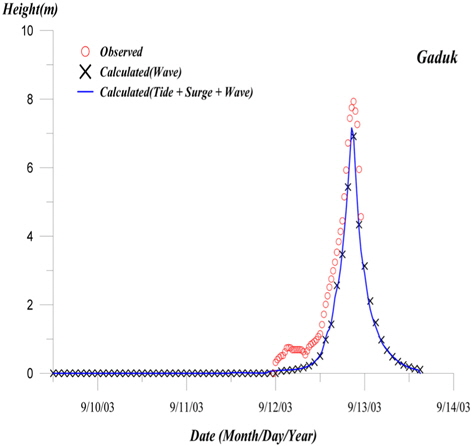 Comparison of CASE-4(TSW), CASE-5(W) and observed data at Gaduk