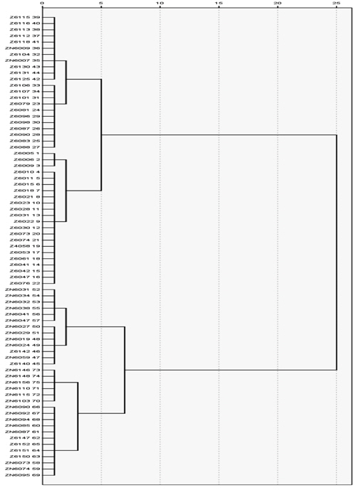 Dendrogram of native medium-leaf type zoysiagrasses based on Euclidean distance from leaf and seed morphological traits. The Z and ZN is collection code of native medium-leaf type zoysiagrasses.