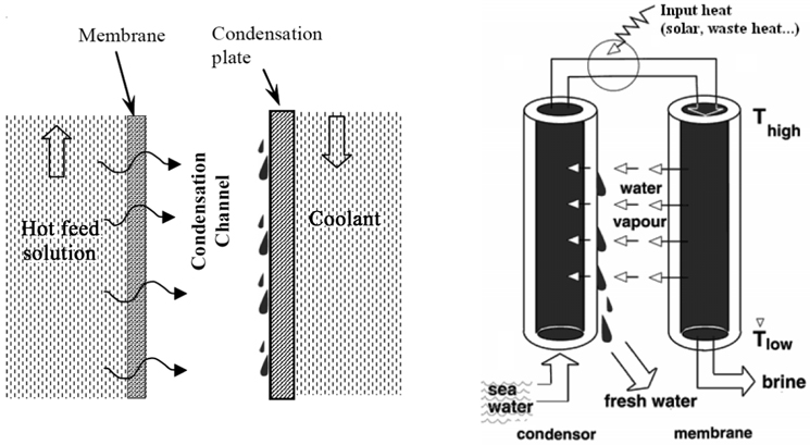 Principle of vacuum membrane distillation (left) and Schematic diagram of vacuum membrane disrillation (right)[5].