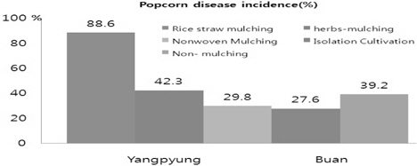 Incidence of mulberry popcorn disease by mulching materials