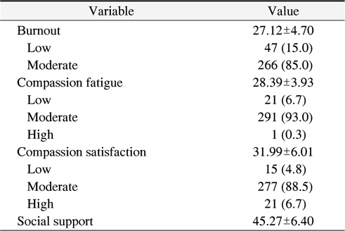 Mean Scores of Burnout, Compassion Fatigue, Compassion Satisfaction and Social Support of the Subject (N=313)