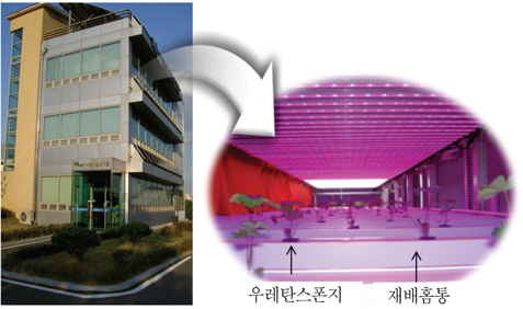 Outside and inside view of vertical type plant factory system.