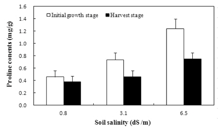 Proline contents of whole-crop-barley at initial growth and harvest stage by soil salinity.