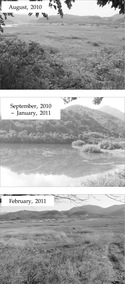 Foregrounds of Boknae reservoir before and after flooding during 7 months(August, 2010~February, 2011).