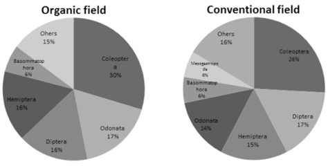 Order composition of benthic invertebrates in organic and conventional field.