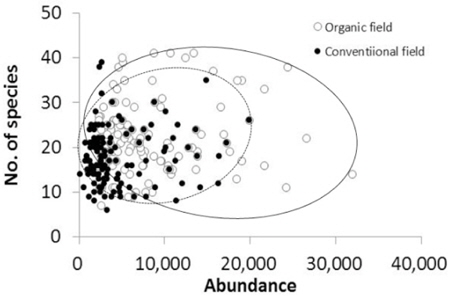 Relations between number of individuals and species richness. Each point indicates each sampling sites. Open circle indicate organic field and closed circle indicate conventional field in surveyed rice field during 2009-2011.