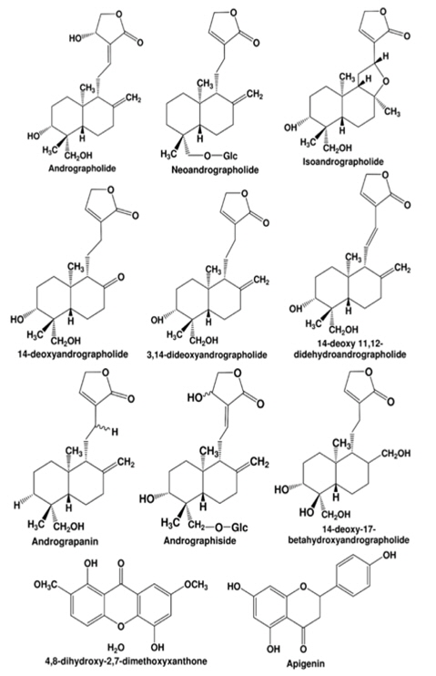 Major phytochemical constituents from Andrographis paniculata.
