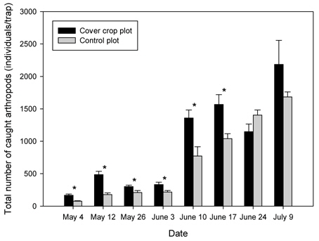 Number of arthropods(Mean±SE) caught in cover-crop, Vicia tatrasperma, plot and control plot in 2009 (Asterisks indicate statistically significant differences according to T-test at 95% level).