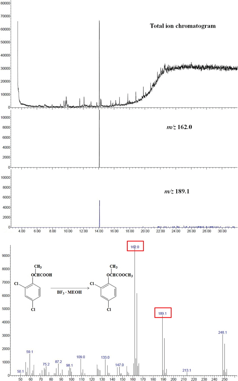 Total ion chromatogram and spectrum of dichorprop standard analyzed by GC/MS (0.5 μg).