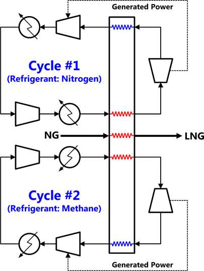 Configuration of niche cycle.
