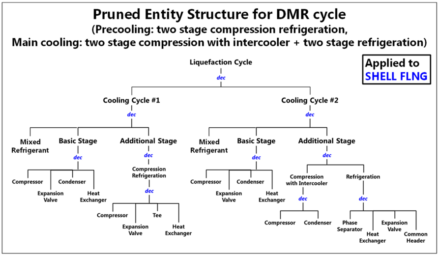 Pruned entity structure for the DMR cycle generated by pruning the SES.