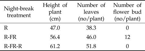 Red and Far-red light reversibility of a night break on flowering and growth characteristics in chrysanthemum.