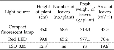 Growth characteristics affected by different light sources for daylength extension in chrysanthemum