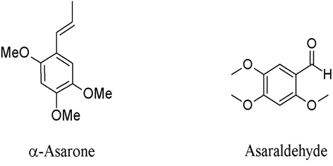 Active chemical constituents in Acorus calamus L. Root