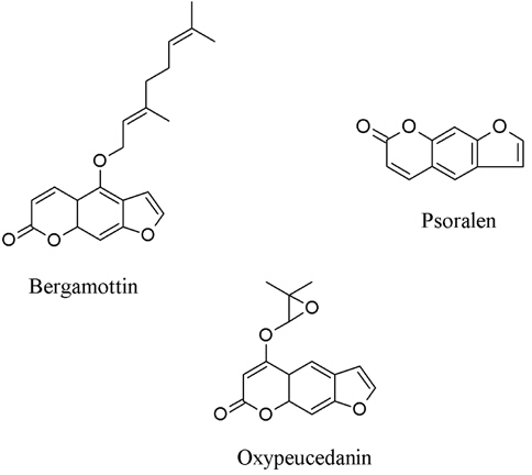 Active chemical constituents in Citrus hystrix DC. Pericarp.