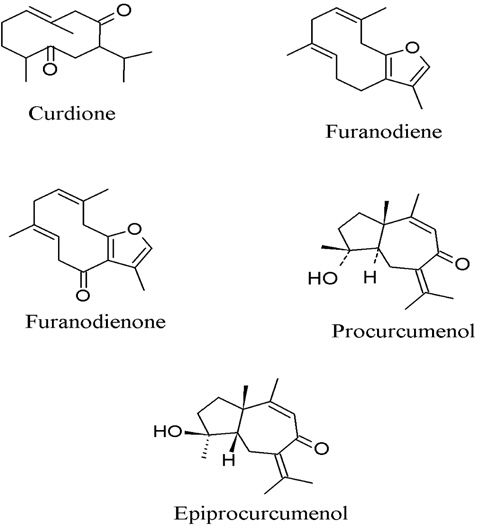 Active chemical constituents in Curcuma zedoaria Roscoe. Rhizome.