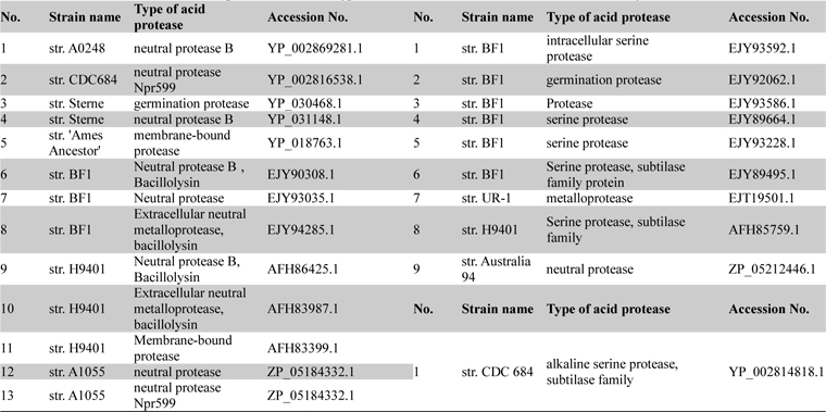 List of acid neutral and alkaline proteases with their type and accession numbers which were taken for analysis