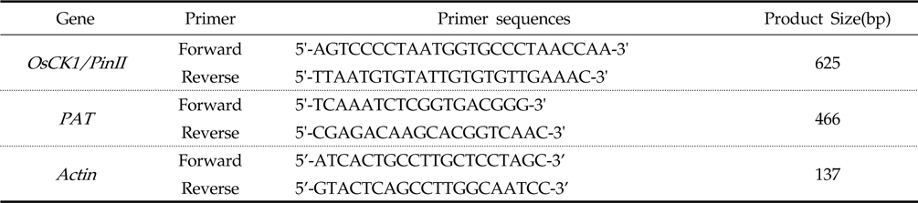 Primers list used for PCR analysis