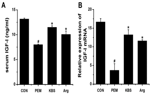 Effect of KBS on the regulation of IGF-I. (A) IGF-I levels in the serum were measured with the ELISA method. (B) The expression levels of IGF-I mRNA were evaluated by the real-time PCR method. CON, adequate protein diet + DW-administered group; PEM, low protein diet + DW-administered group; KBS, low protein diet + KBSadministered group; Arg, low protein diet + Arg-administered group. Each datum represents the mean ± SEM of three independent experiments. #p < 0.05; significantly different from the CON value. *p < 0.05; significantly different from the PEM value.