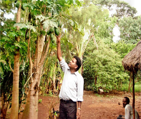 The author with the unripen papaya fruit in Jimma zone, Eyhiopia