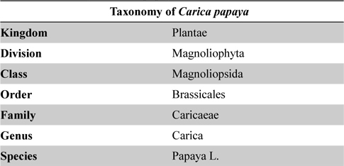 Taxonomy of Carica papaya