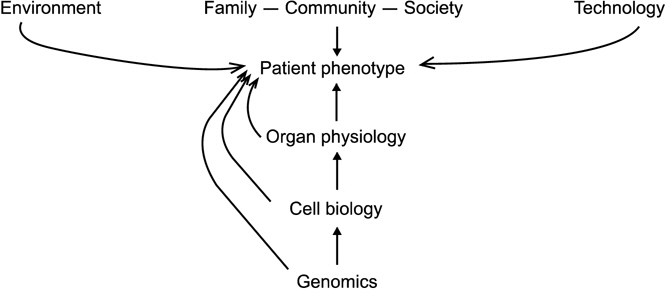A patient phenotype is the sum of the internal (genome, proteome, cell, and organ) and external (environment, family, community, and society) elements of the patient.
