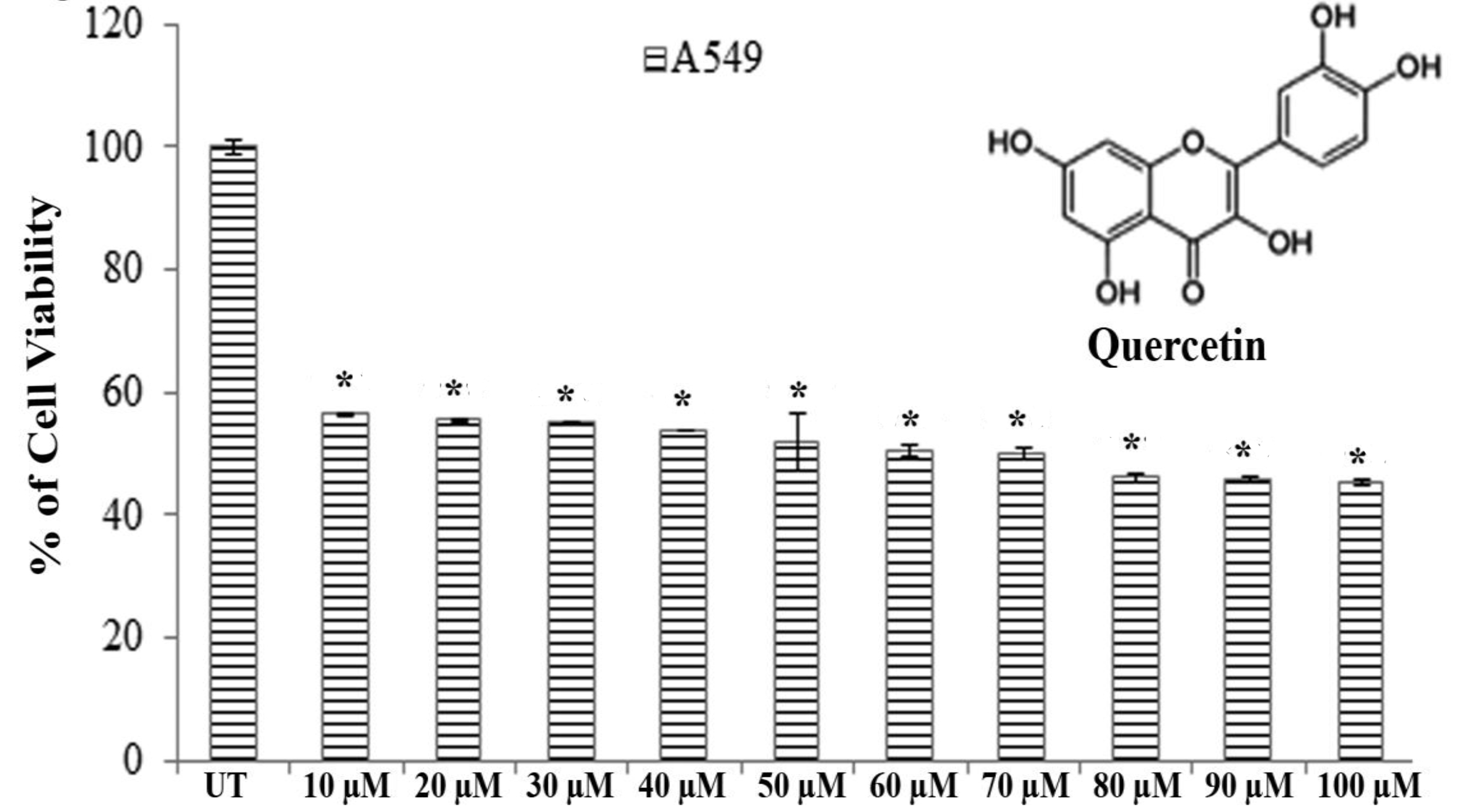Structure of quercetin and its cytotoxicity on A549 Cells that were treated with 10 ？ 100 μM of quercetin. Viability was checked by using an MTT assay, and UT represents the untreated cells. The values are the means ± SDs of three independent experiments with six replicates. Statistical significance was considered as *P < 0.001.