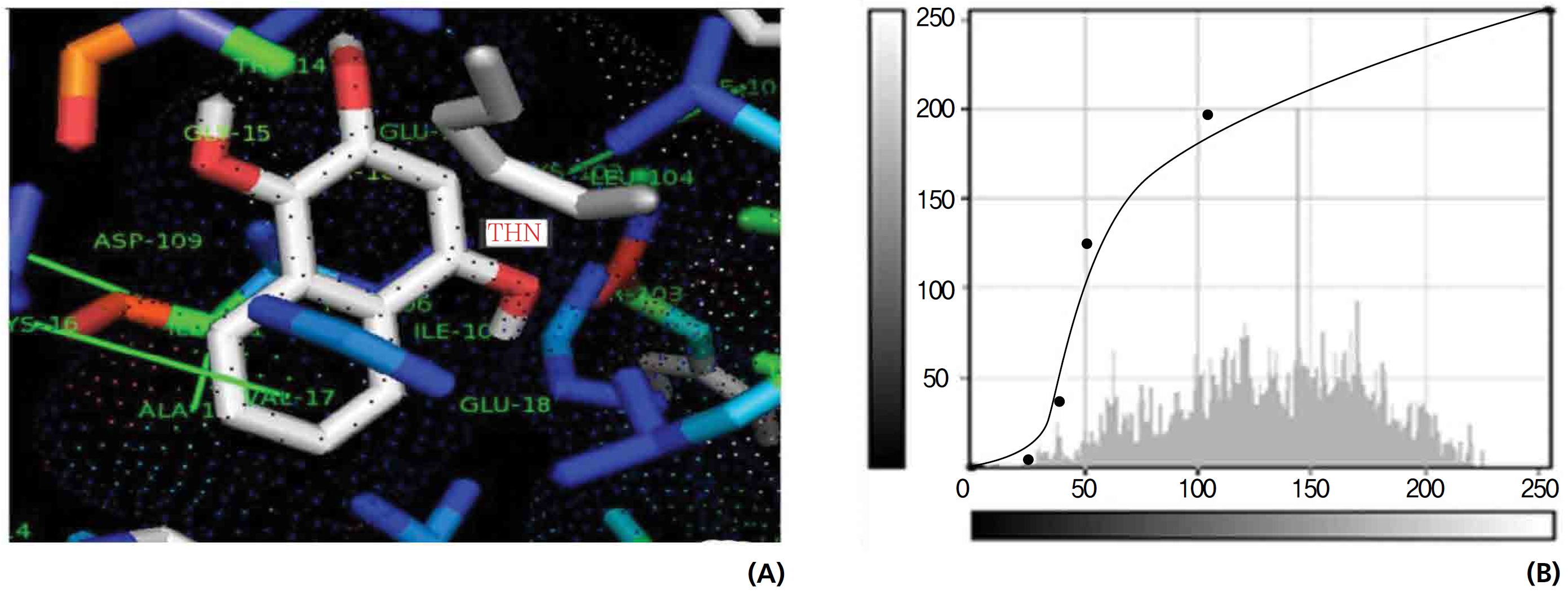 Docking interactions of 1,2,4-trihydroxynaphthalen (THN); different views of the THN interactions involved at the active sites in hydrogen peroxide. (a) The yellow dotted lines indicate the presence of hydrogen-bond interactions (none). (b) Binding energy and binding reaction graphical tool.