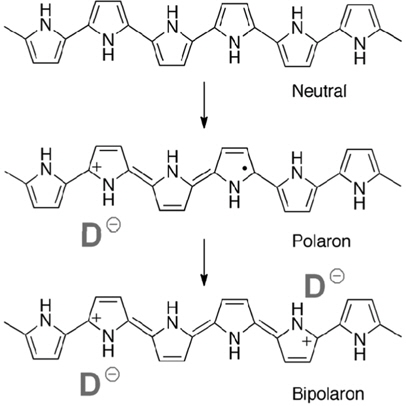 Structures of neutral and doped polypyrrole.