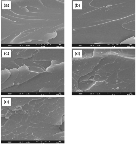 SEM images taken at ×5,000 magnification from the fracture surfaces of the cured epoxy system for samples (a) 1, (b) 2, (c) 3, (d) 4, (e) 5.