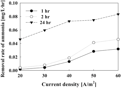 Removal rate of ammonia on current density (Initial flow rate: 6.67 L/hr, NH4+ : 2.0 mg/L).