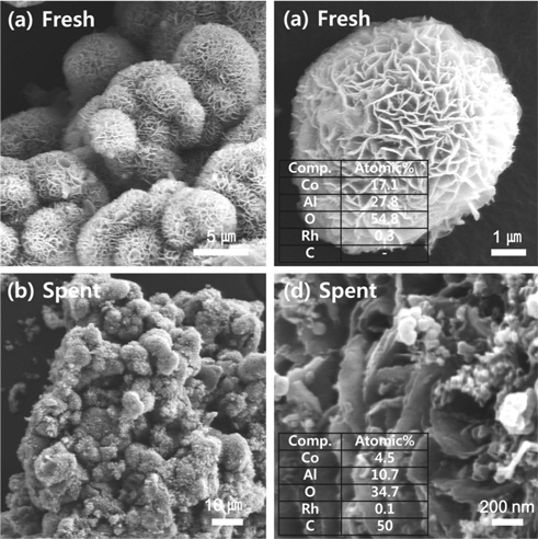 SEM characterization for (a) the fresh and (b) the spent Rh/CoAl2O4@Al (at 550 ℃ for 24 h, H2O/C3H8O=4.5, WHSV=34,000 mL g？1 h？1).