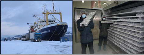 Trawl boat (left) and quick-freezing (right)