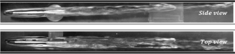 Example of twin-vortex mode of ventilated cavitation