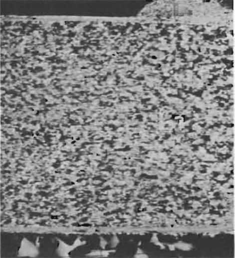Photomicrograph of FG-ice (Enkvist & Makinen, 1984)