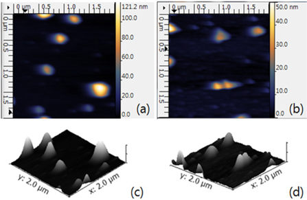 AFM images of SZTO thin films (a) air annealing and (b) wet annealing. (c) and (d) are 3D schematics of air and wet annealing AFM data, respectively.