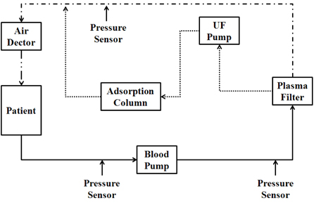 The plasma perfusion of extracorporeal circulation.