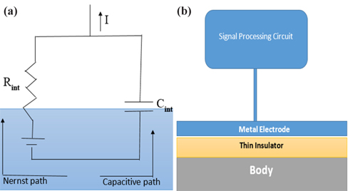 (a) Body-electrode electrical model and (b) capacitive coupling model.