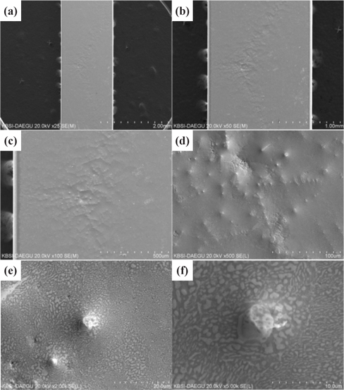 SEM surface micrographs of interconnector ribbon for solar cell modules currently being used with different sizes of scale bars; (a) 2 mm, (b) 1 mm, (c) 500 μm, (d) 100 μm, (e) 20 μm, and (f) 10 μm.
