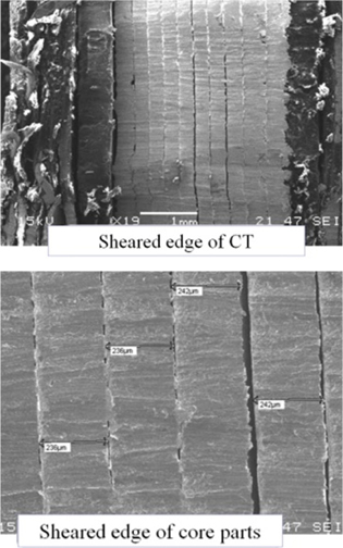Microstructure of (a) sheared edge and (b) magnetic core part for conventional current transformer.