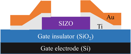 Schematic diagram of the device with a bottom gate TFT structure with SIZO.