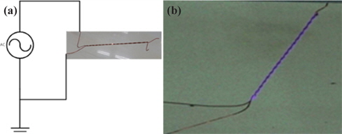 (a) Partial discharge test and (b) light emission from the twisted-pair wires.