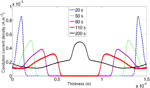 Conduction current density profiles at different times under 50 kV dc stress.