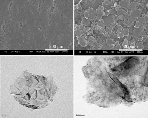 Scanning electron microscopy and transmission electron microscopy images of the (a, c) raw and (b, d) silanized graphene nanoplatelets using 3-glycidoxypropyltrimethoxysilane.