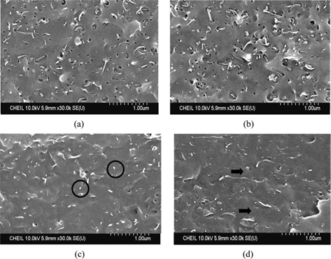 Scanning electron micrographs of multi-walled carbon nanotube (MWCNT)/polycarbonate nanocomposites with 3 wt% MWCNT: (a) compression direction and (b) normal direction of compression molding, (c) perpendicular direction, and (d) parallel direction of extrusion at the shear rate of 200 s-1.