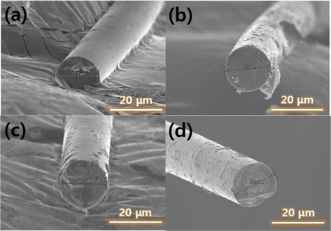 Scanning electron microscope images of cross-section of (a) 250H, (b) 1000E250H, (c) 2000E250H, and (d) 3000E250H, respectively, after carbonization at 1000℃.