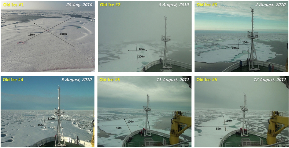 Old ice floes at field measurement(July-August, 2010-2011)