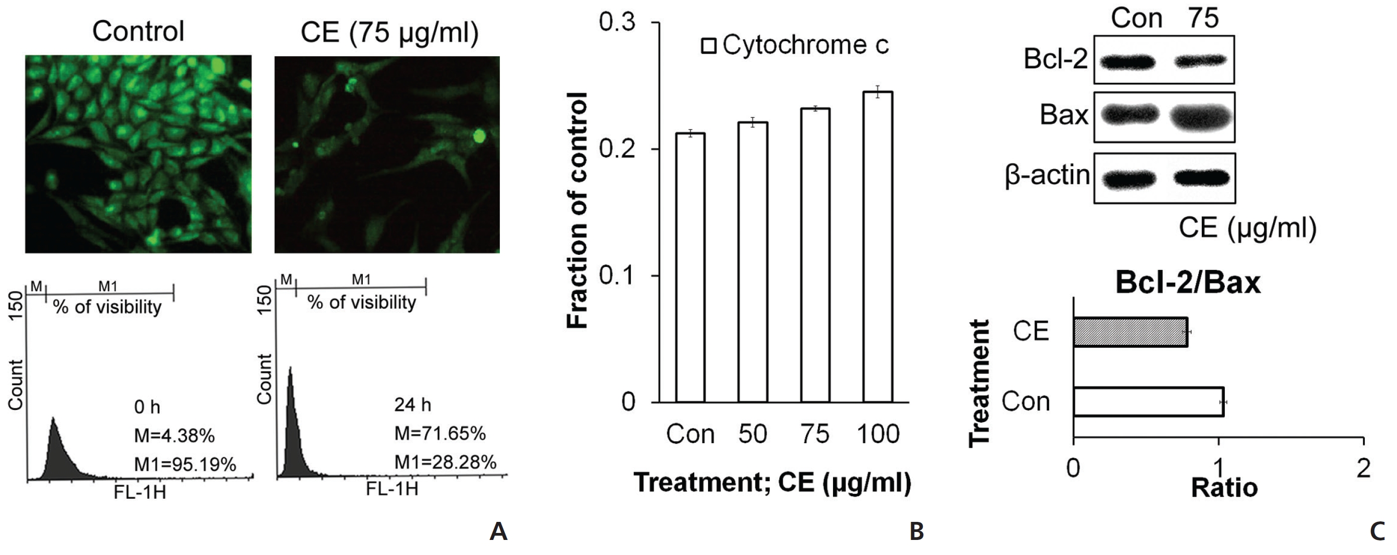 (A) For Rrhodamine staining: cells were fixed after treatment and were analyzsed after staining with rhodamine 123 by using a flow cytometer and a microscope. (B) Cytochrome c was analyzed by using the ELISA method. (C) The expressions of Bax and Bcl-2 were analyzed by using Western blotting, and their ratios are presented in a bar diagram.